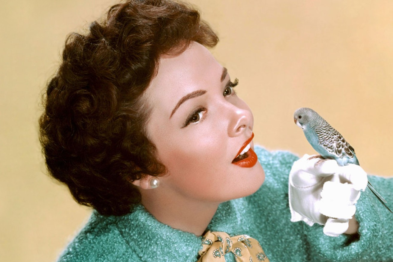 Parakeets proved popular props: American actress and opera singer Kathryn Grayson in a typical studio pose, circa 1950. Photo: Pictorial Press Ltd / Alamy Stock Photo