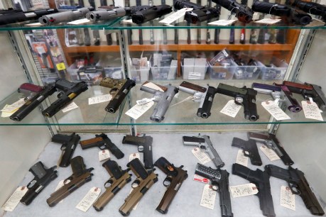 Rush on SA gun shops “similar to toilet paper”: dealers