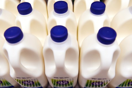 Govt calls for supermarkets to lift dairy prices