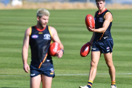 Crows, Port win full-contact training clearance