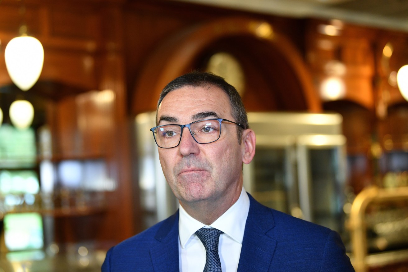 Premier Steven Marshall says a ban on international travel exemptions will remain until "airtight systems" are in place. Photo: AAP/David Mariuz