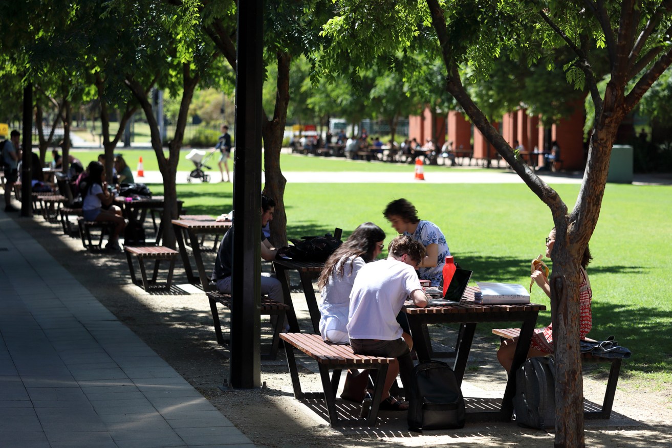 Students at Adelaide Uni this month. Photo: Tony Lewis / InDaily