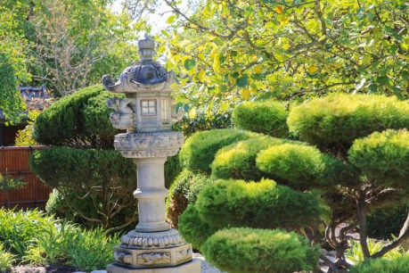 In the garden: Finding zen at the Himeji Garden