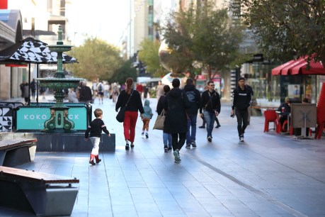 City council flags citywide oversight role for Rundle Mall management
