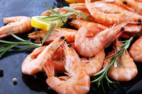 Buy restaurant-quality Spencer Gulf king prawns direct from the supplier