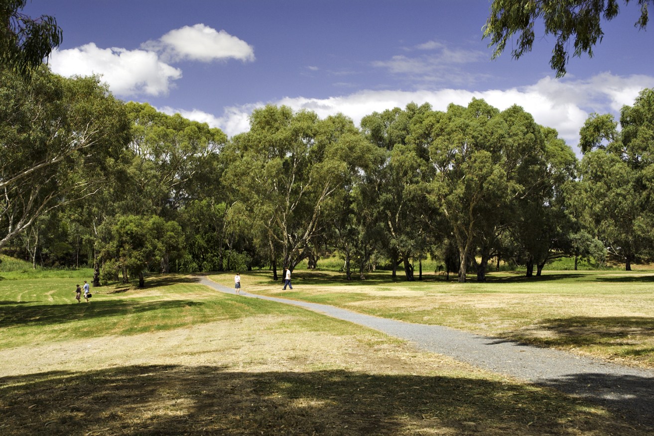 Adelaide's Linear Park. Photo: Dally Horton at English Wikipedia