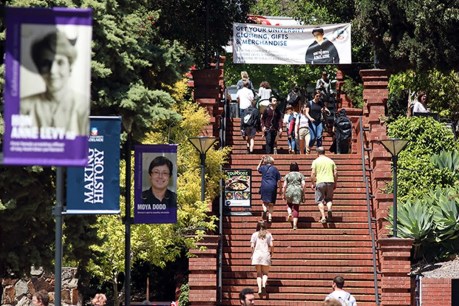 International students slow to return despite border reopening