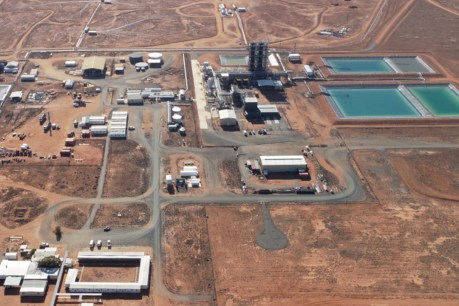 Marmota revisits SA uranium project after global price spike