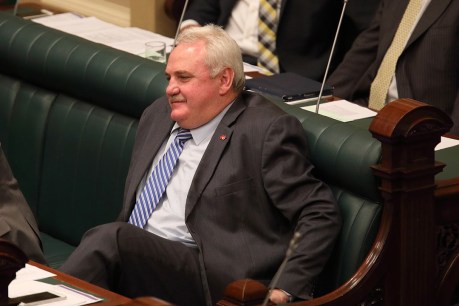 MP expenses scandal claims Govt Whip