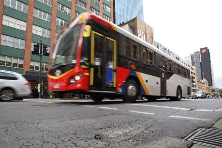 State Govt’s own research shows why wheels fell off bus reforms