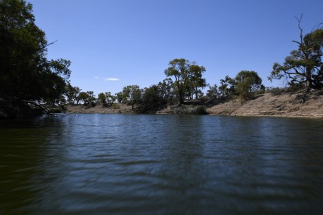 Murray-Darling water trading needs reform over “serious problems”: ACCC
