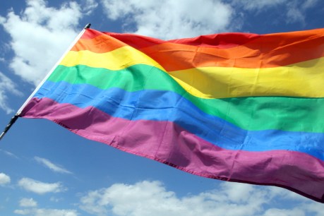 SA move to outlaw conversion therapy