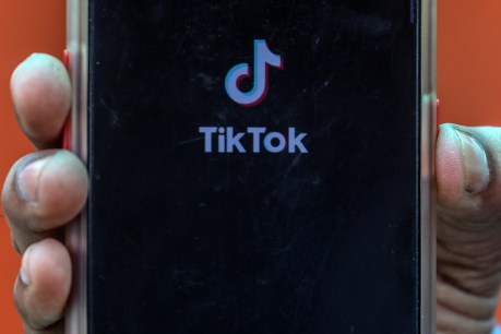 TikTok, social media giants asked to front Senate inquiry