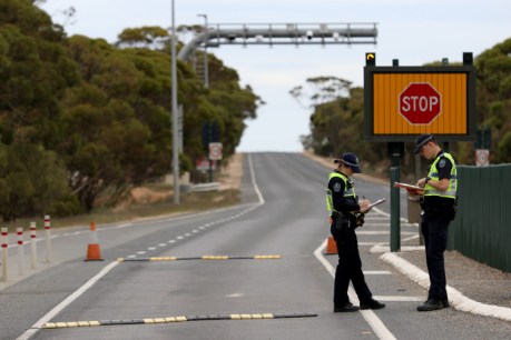 State of confusion over SA-NSW border restrictions