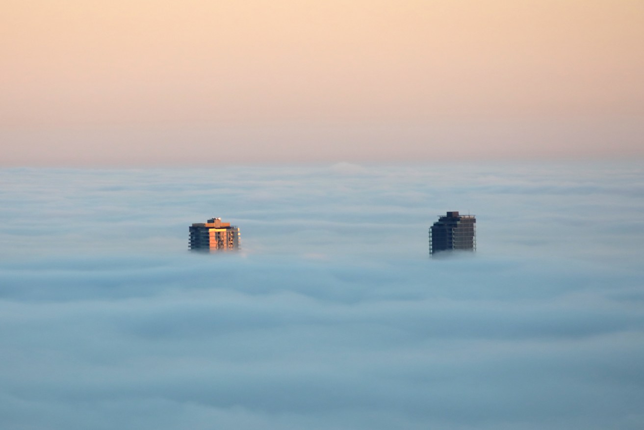 A pair of high-rise buildings peer above the Adelaide fog on Tuesday, July 14. Photo: Tony Lewis/InDaily