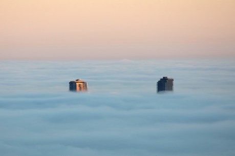 Peeking above a shroud of city fog
