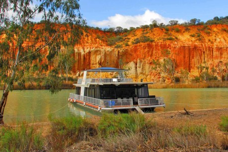 Tourism life raft for River Murray businesses struggling to stay afloat
