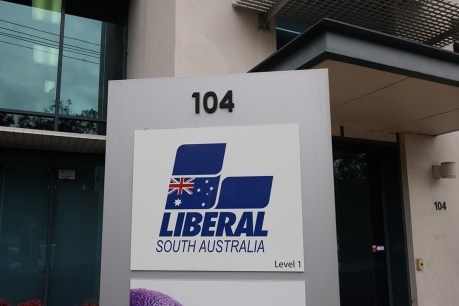 Govt website users redirected through Liberal Party campaign platform