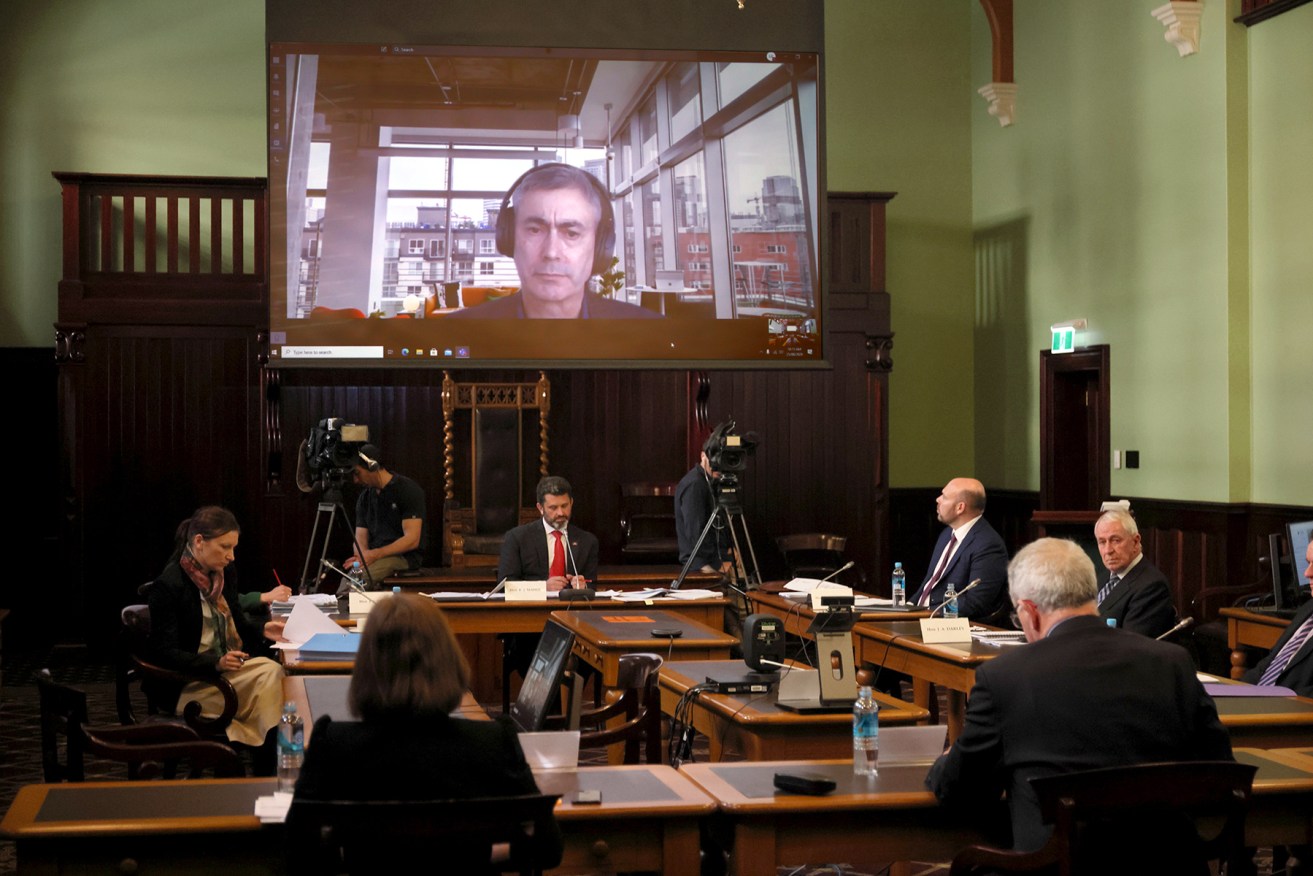 Fergus Gammie (on screen) giving evidence to Parliament's Budget and Finance Committee from Sydney. Photo: Tony Lewis/InDaily