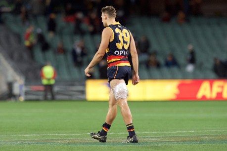 Crows hoping to quell Carlton’s top-four push