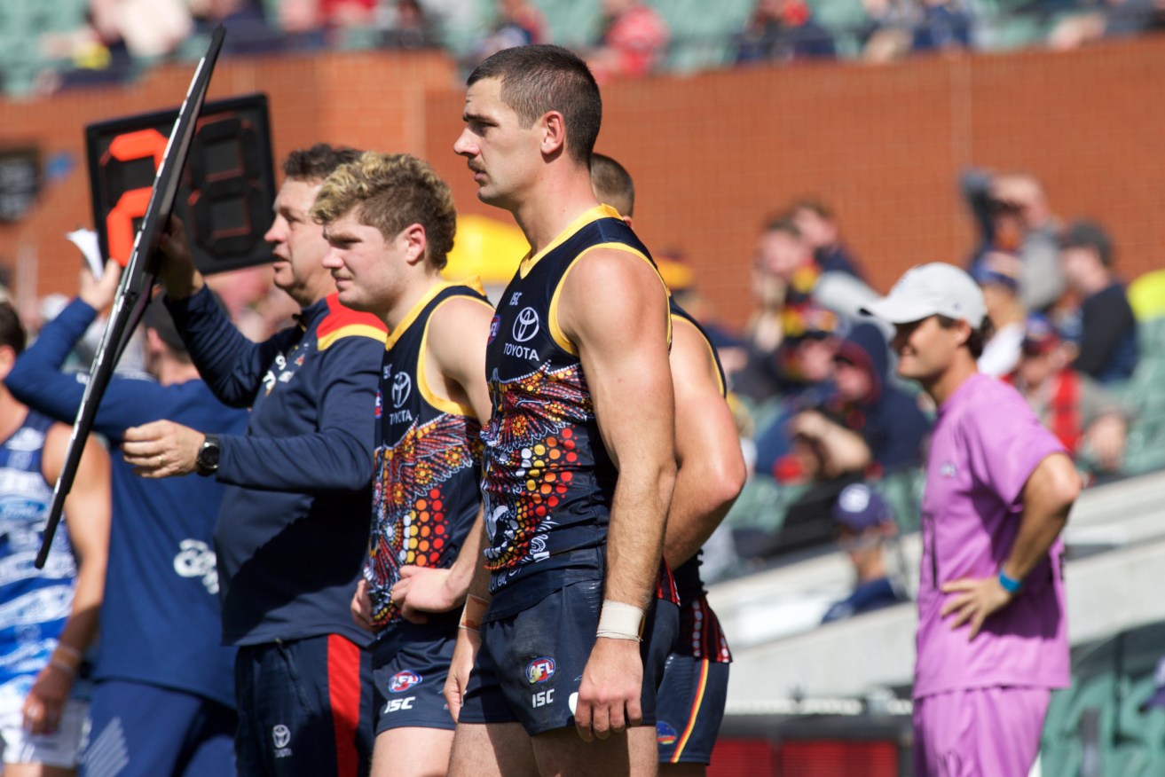 Adelaide's past and future watch from the sidelines yesterday. Photo: Michael Errey / InDaily