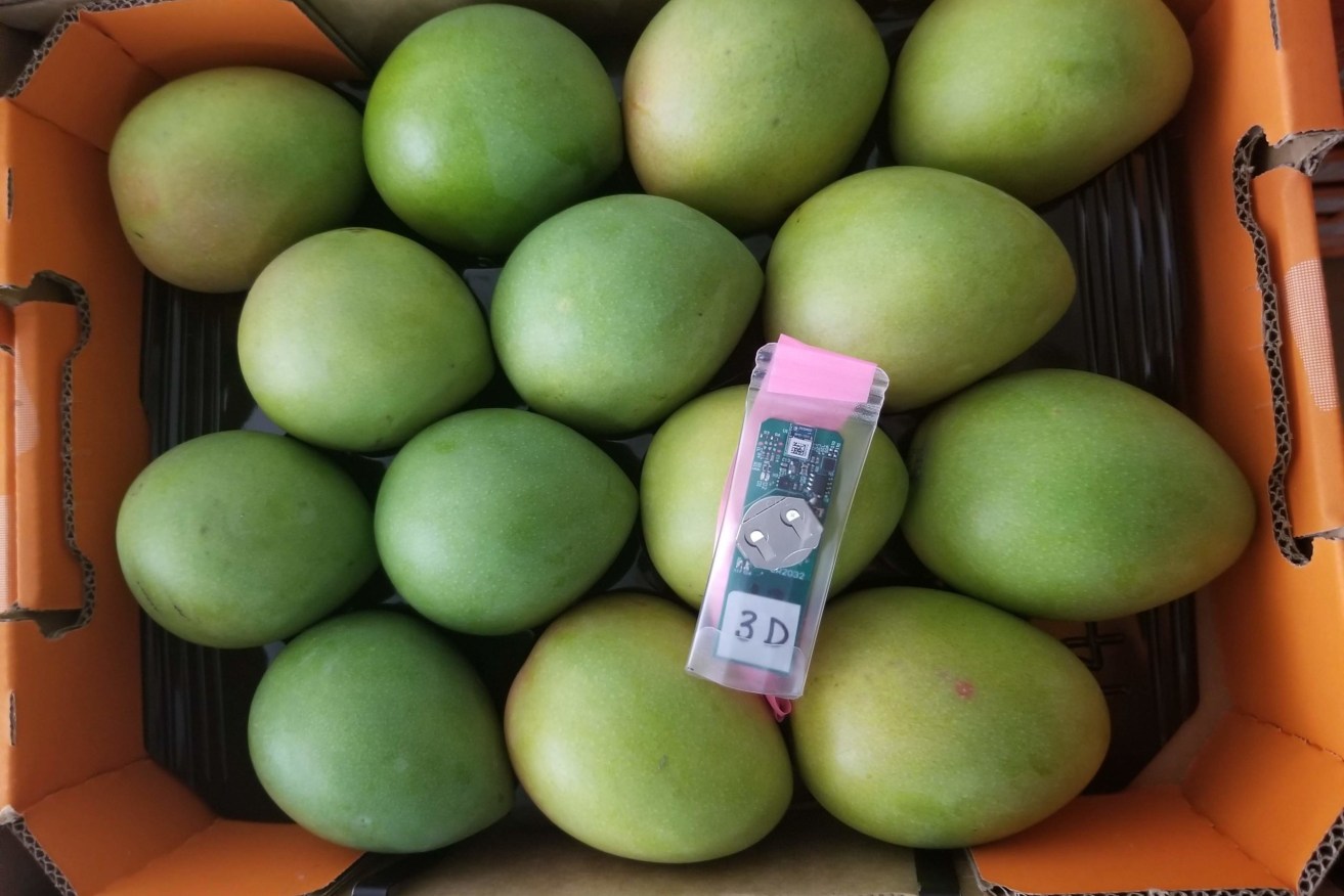 The Trust Provenance technology used to track mangoes from Queensland.