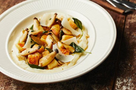 Ricotta gnocchi with sauteed king browns, parsnip puree & sage