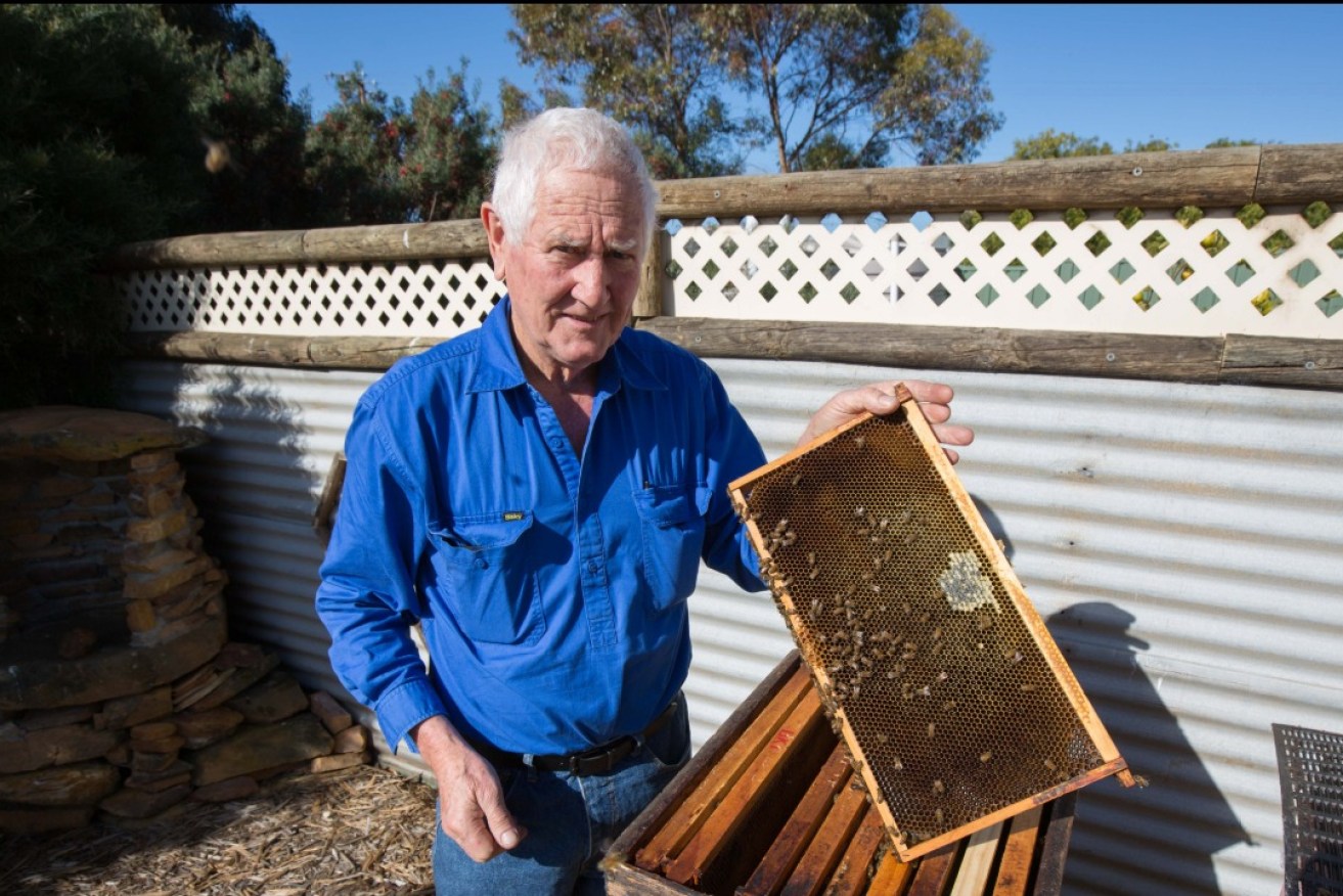 Island Beehive owner Peter Davis with one of his hives. Photo: David Russell