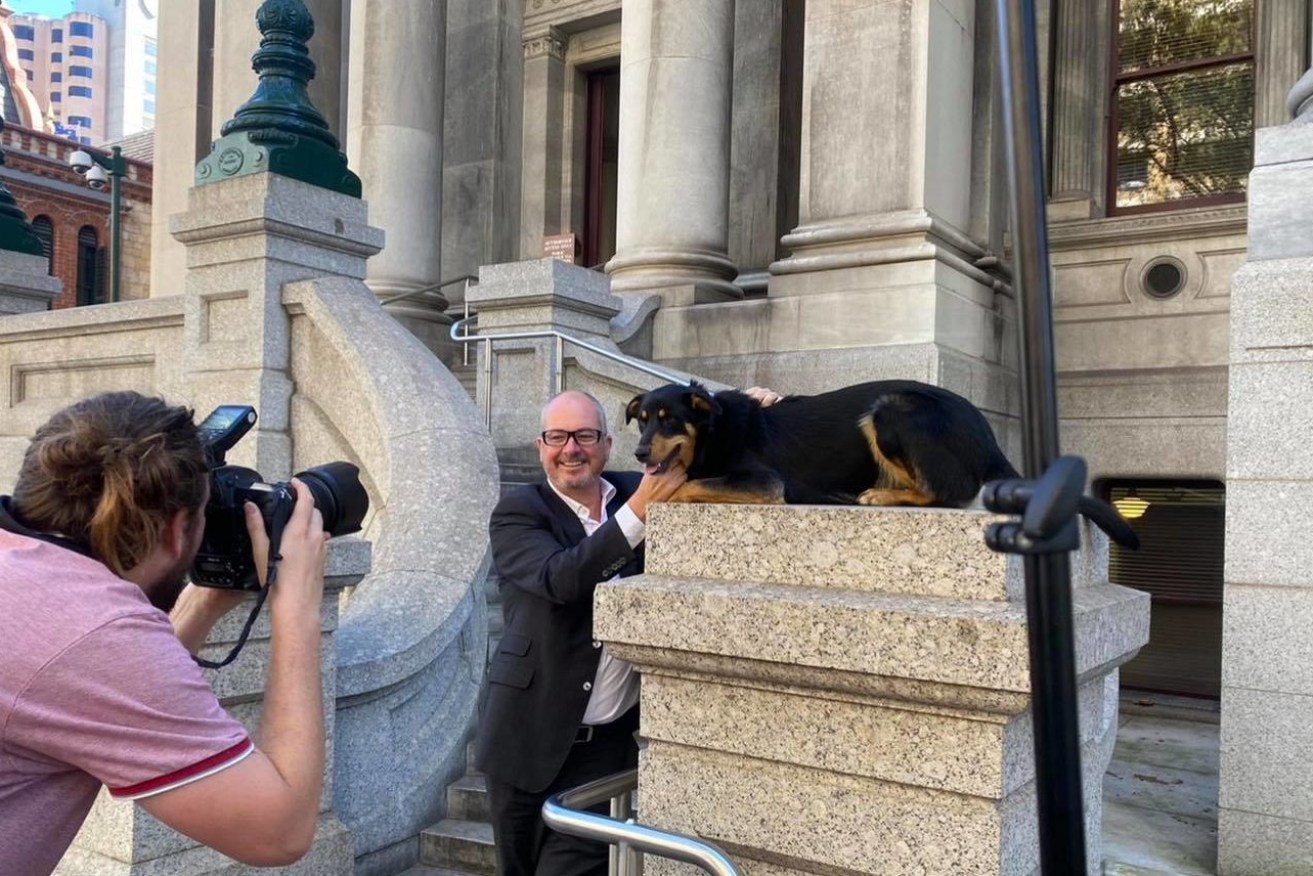 BARKBUSTERS: Parliament have banned pets such as Dusty from entering the building. Photo: Leon Bignell / Facebook
