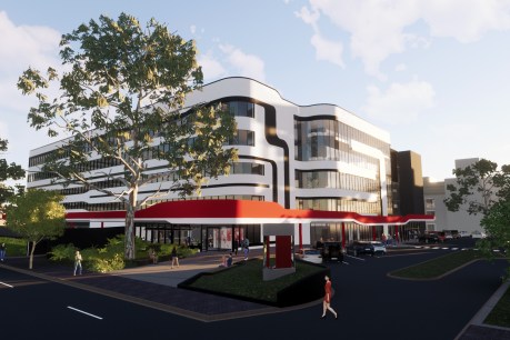 $50m addition to QEH upgrade prompts 12-month delay