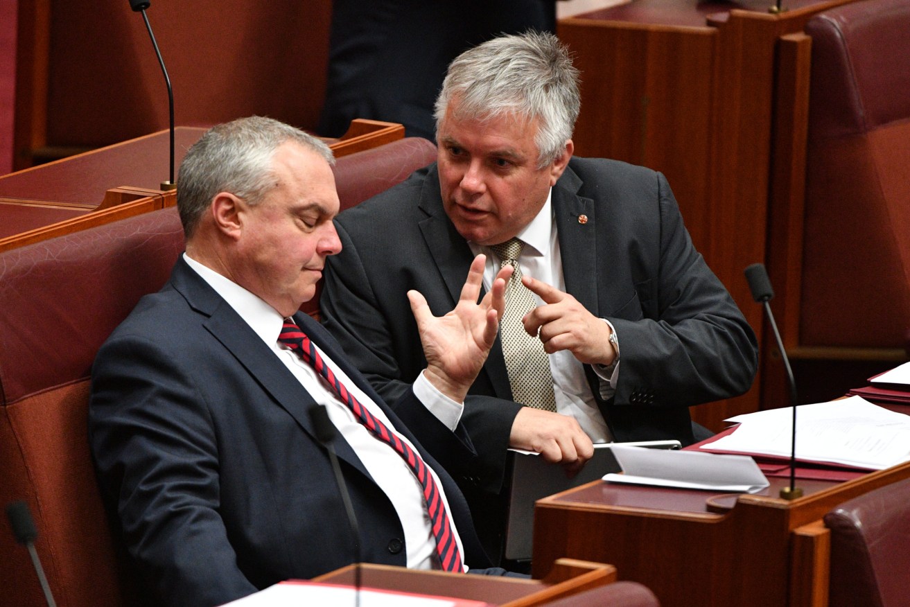 Senators Stirling Griff and Rex Patrick before the latter split from Centre Aliance. Photo: AAP/Mick Tsikas