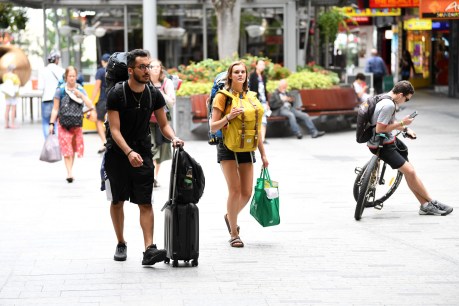 Farmers, tourism operators push for backpacker entry to Australia