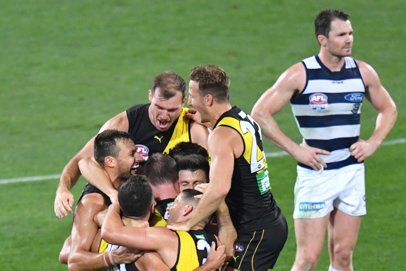The Tigers celebrate as Paddy fumes. Photo: Darren England / AAP