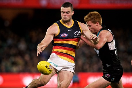 Tarnished Crows star could break new ground