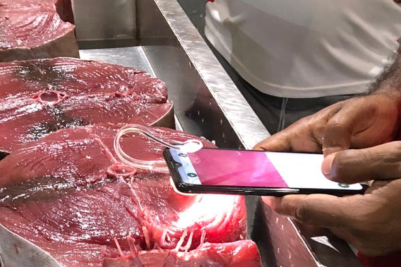 A smartphone microscope attachment allows GoMicro to accurately grade seafood using AI.