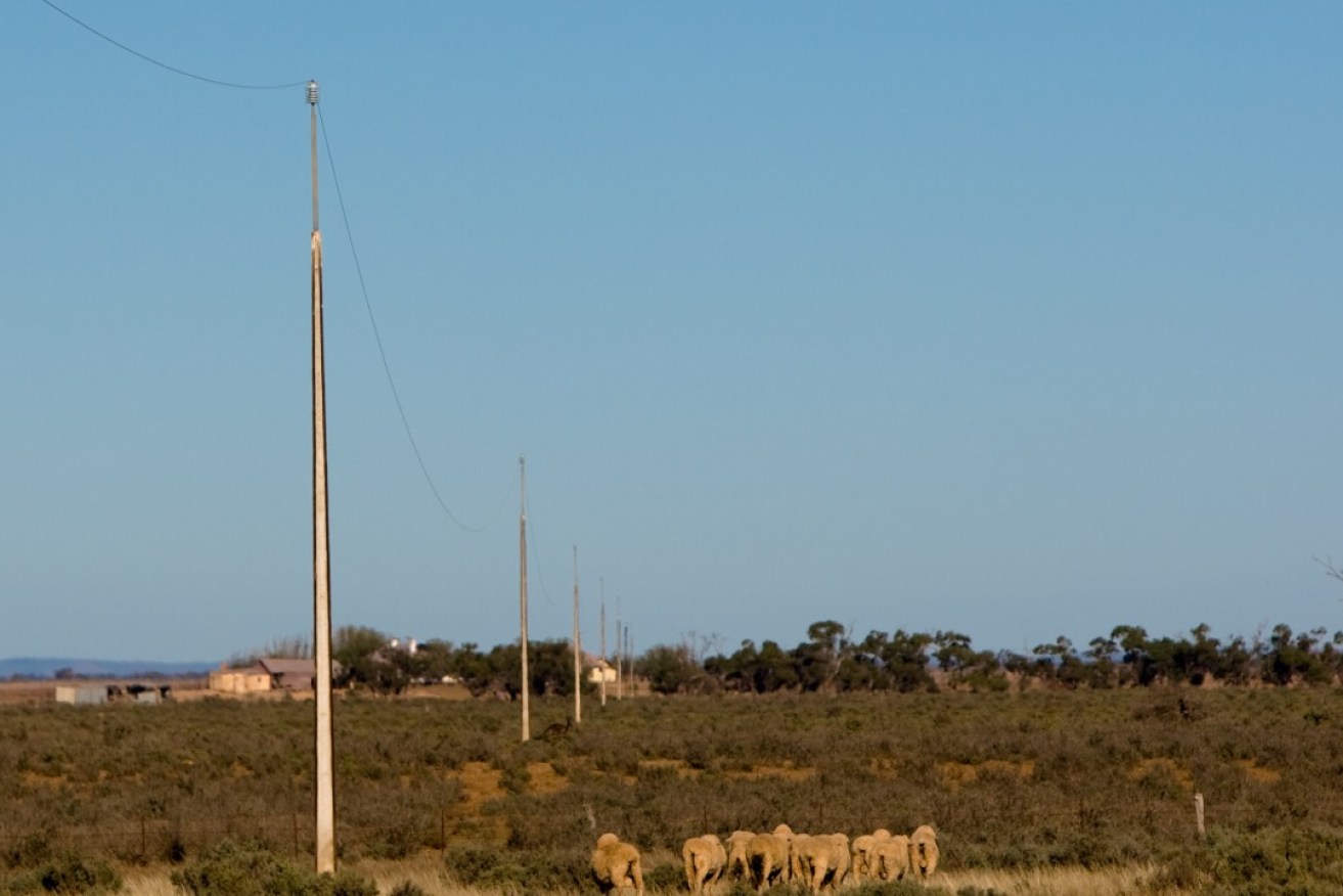 SA Power wants to hear from South Australians served by Single Wire Earth Return (SWER) powerlines. 