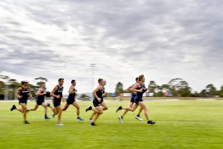 Locals clash with mayor over Crows’ Thebarton Oval move