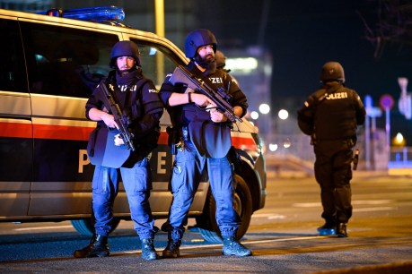 Hunt for shooters after Vienna terror attack