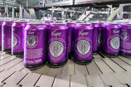 Can-do strategy drives Coopers beer sales despite keg slump