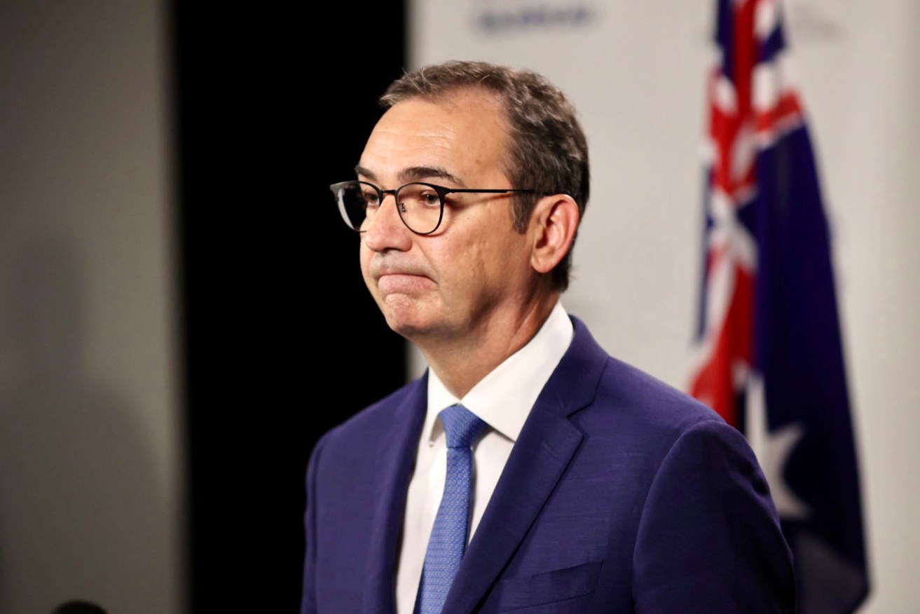 Premier Steven Marshall at this afternoon's press conference. Photo: Tony Lewis/InDaily 