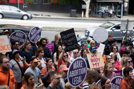 Contentious abortion law reform passes Lower House