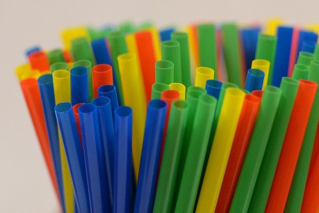 SA single-use plastics ban begins in March