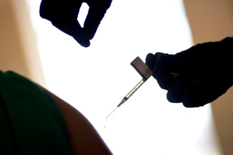 Vaccine rollout ramps up