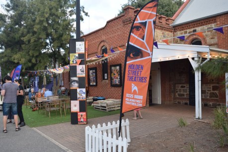 Introducing The Holden Street Theatres’ Arts Park