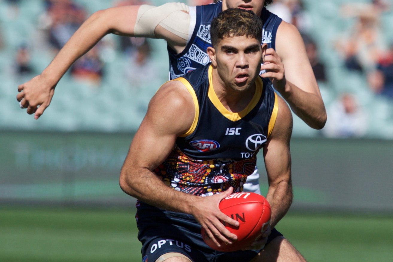 Stengle playing for the Crows this year. Photo: Michael Errey / InDaily
