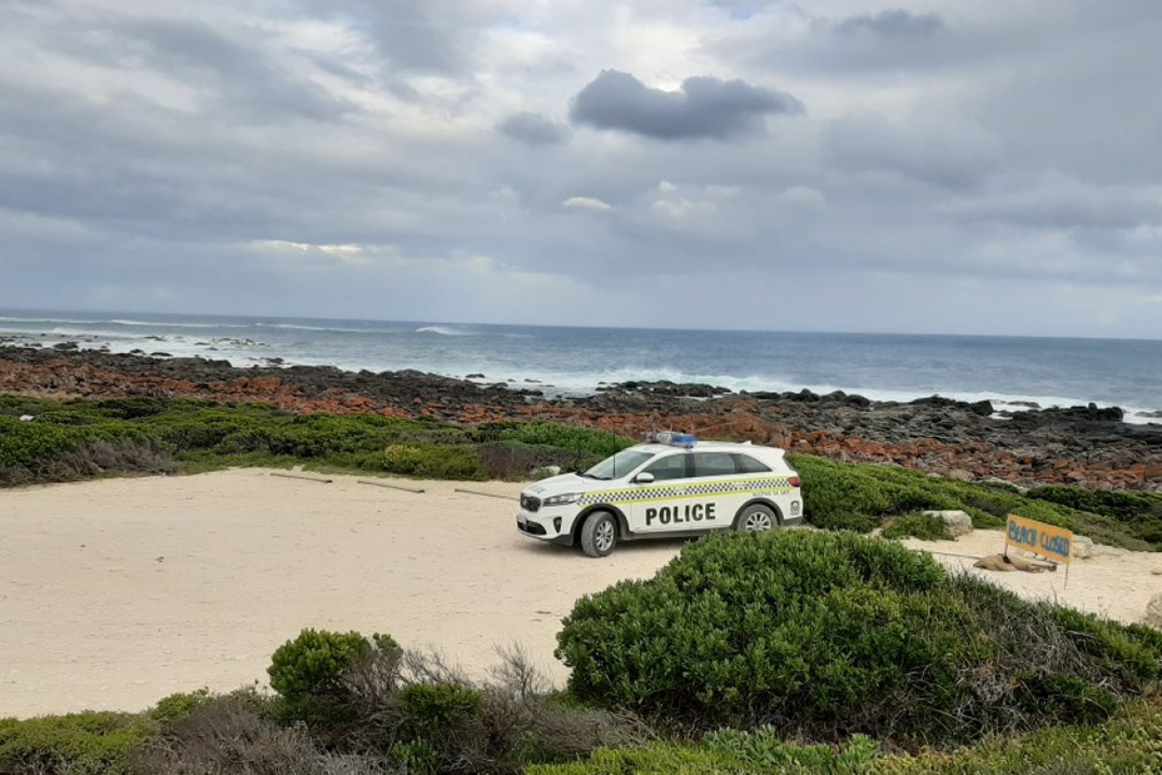 A surfer was attacked by a great white shark at Kangaroo Island's D'Estrees Bay yesterday.
