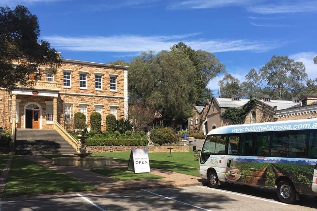 A See Adelaide & Beyond tour in the Barossa. Image: Supplied.
