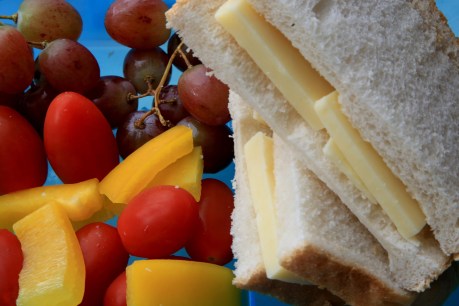 Outbreak of confusion over lunchbox fruit ban