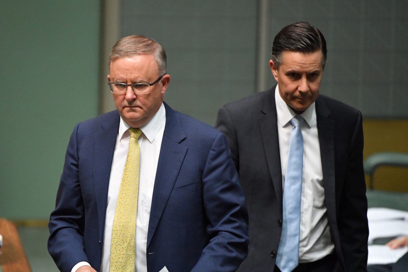 Prime Minister Anthony Albanese with Health Minister Mark Butler. Photo: AAP/Mick Tsikas