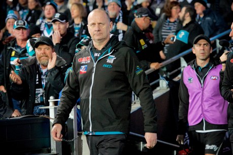 Ken Hinkley signs contract extension with Port